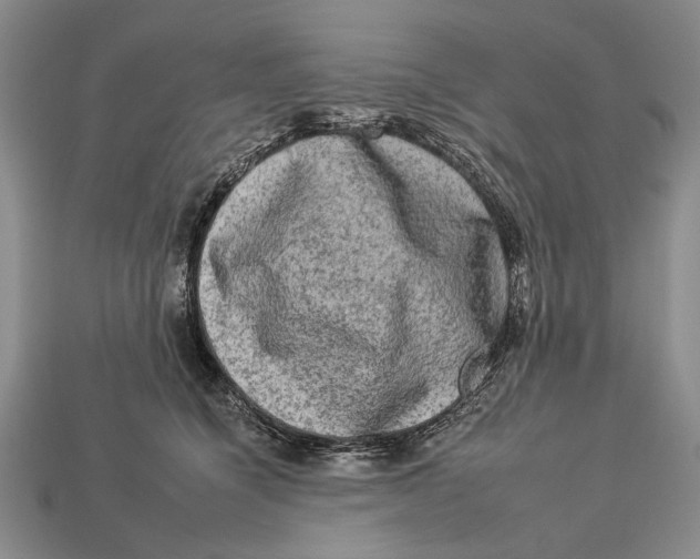 X0000112930564200909211116