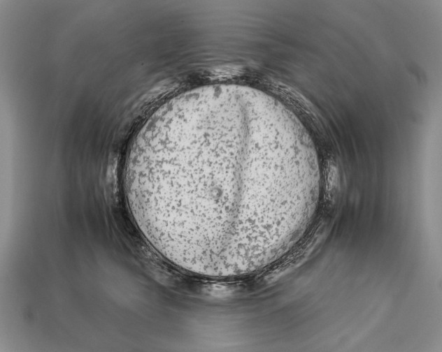 X0000112930565200909211116