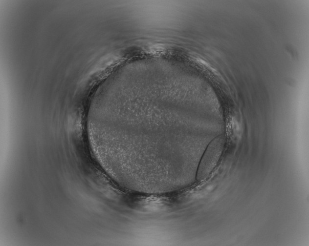 X0000112930566200909211116