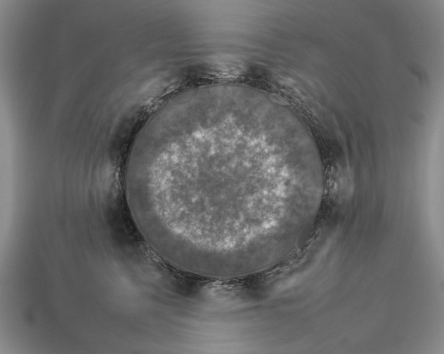 X0000112930568200909211116