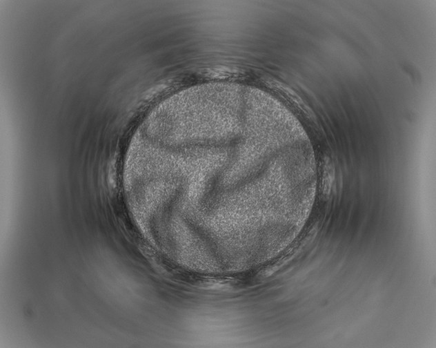 X0000112930569200909211116