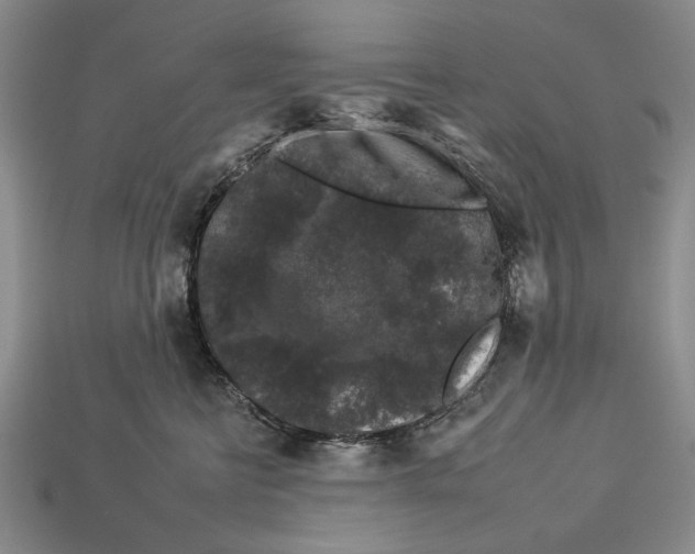 X0000112930570200909211116