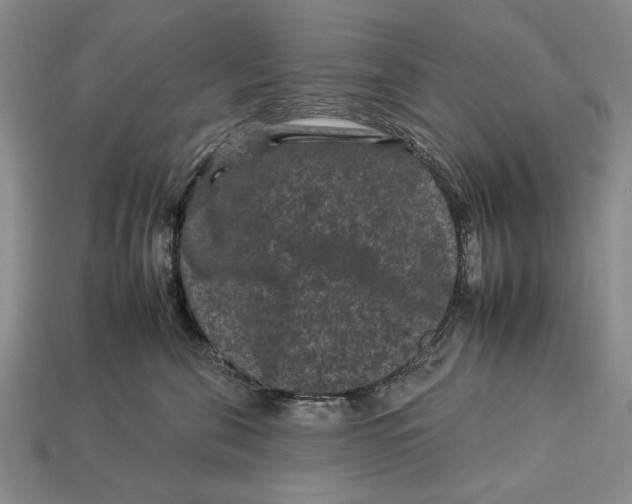 X0000112930571200909211116