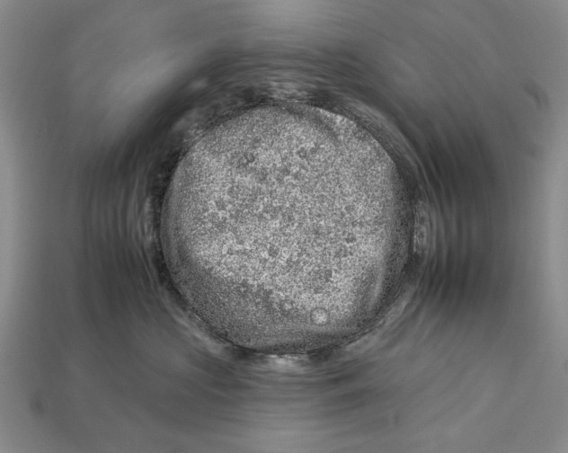 X0000112930573200909211116