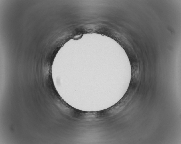 X0000112930574200909211116