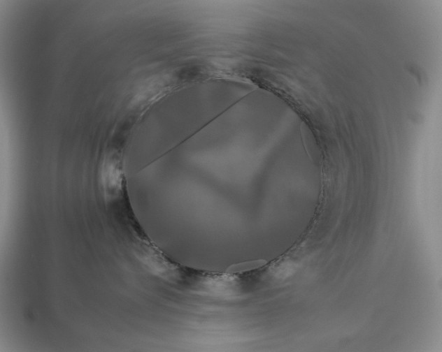 X0000112930576200909211116