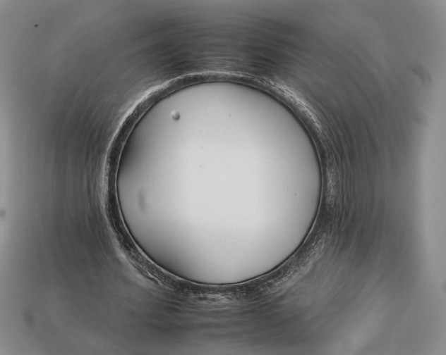 X0000112930580200909211115