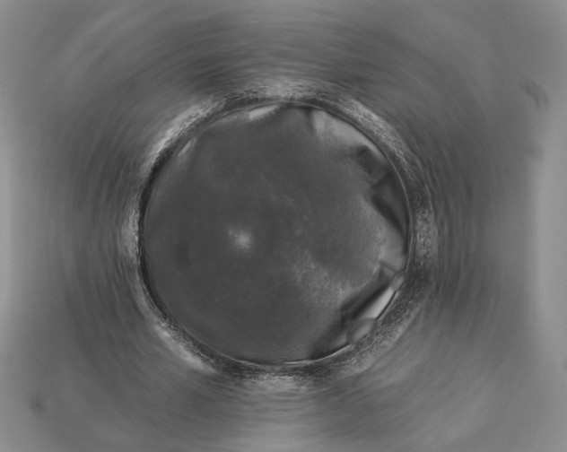 X0000112930581200909211115
