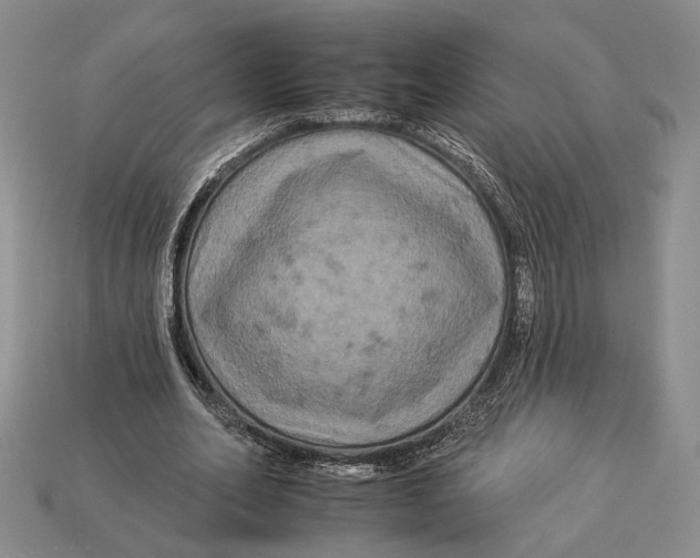 X0000112930582200909211115