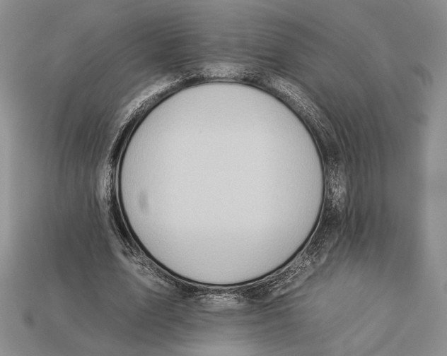 X0000112930583200909211115
