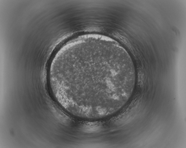 X0000112930584200909211115