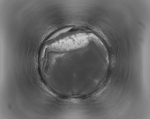 X0000112930585200909211115