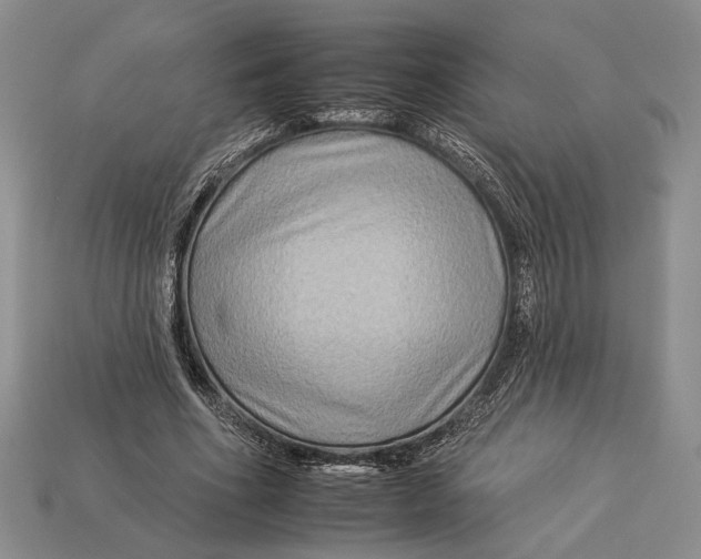X0000112930586200909211115