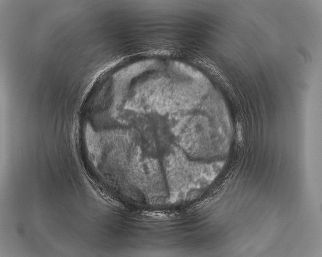 X0000112930588200909211115