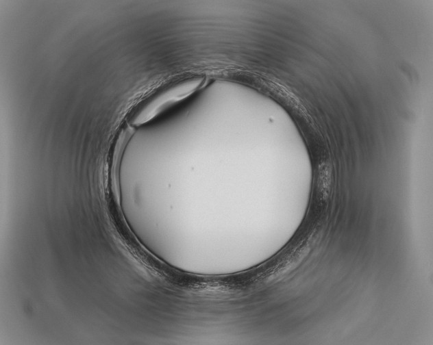 X0000112930589200909211115