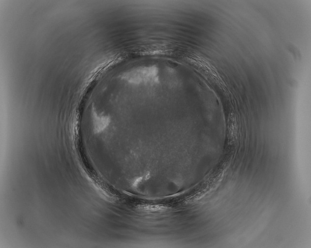 X0000112930590200909211115