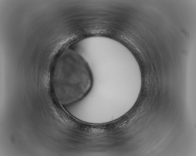 X0000112930592200909211115