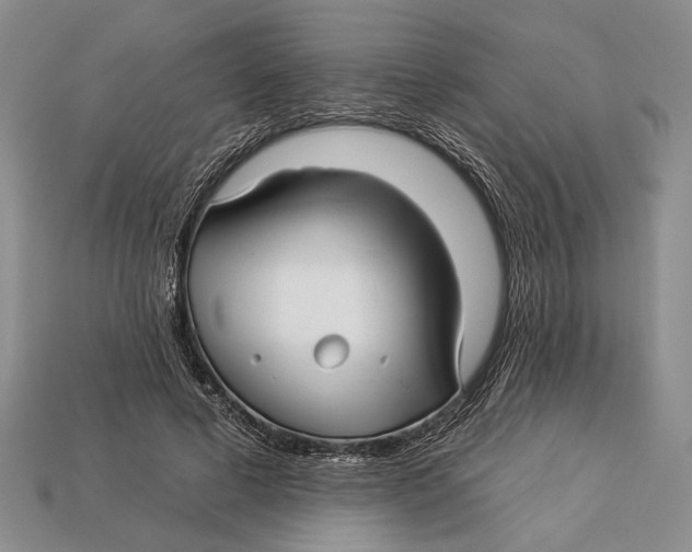 X0000112930593200909211115