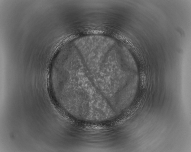 X0000112930594200909211115