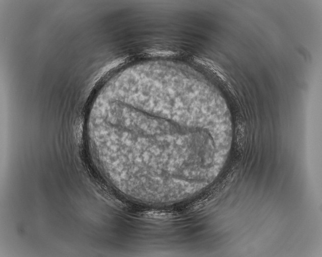 X0000112930596200909211115