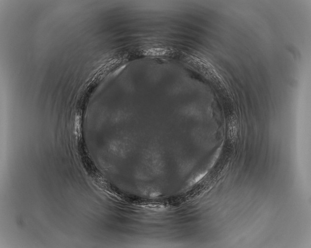 X0000112930598200909211115