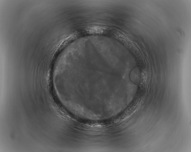 X0000112930600200909211115