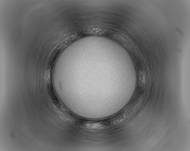 X0000112930602200909211115
