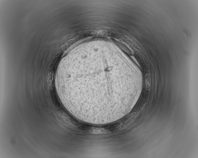 X0000112930605200909211115