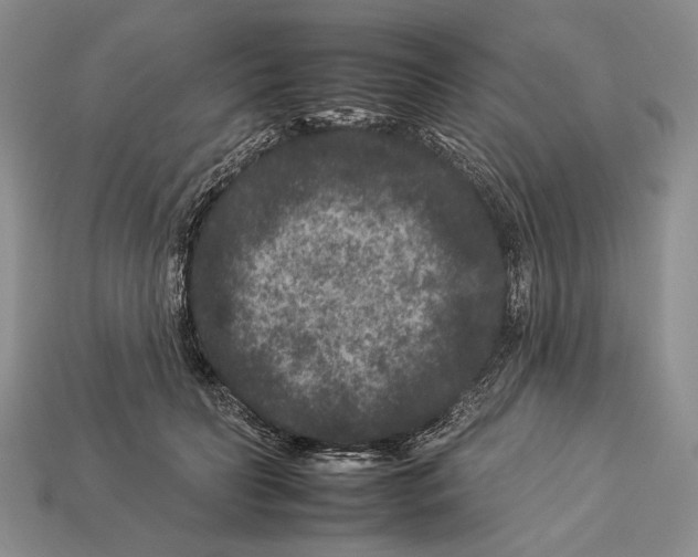 X0000112930606200909211115