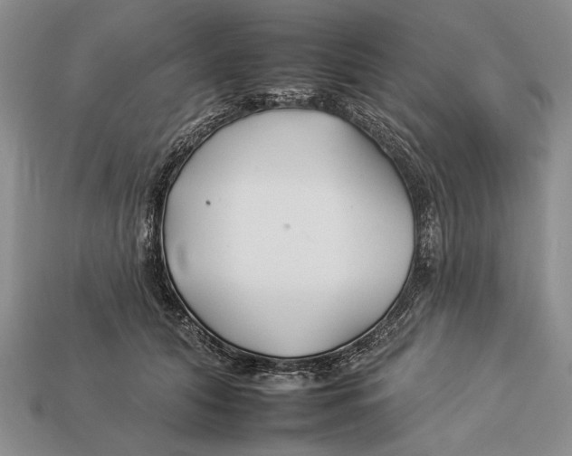 X0000112930608200909211115