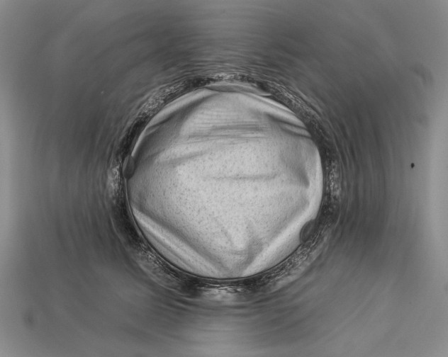 X0000112930611200909211115