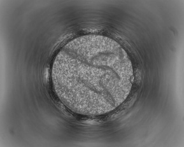 X0000112930612200909211115