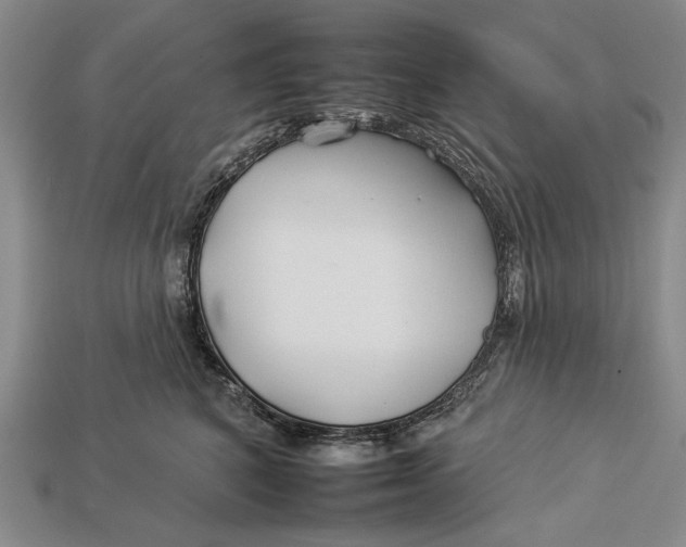 X0000112930616200909211115