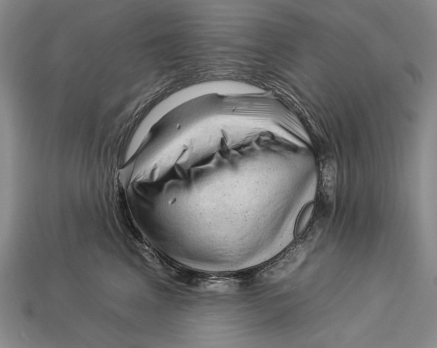 X0000112930617200909211115