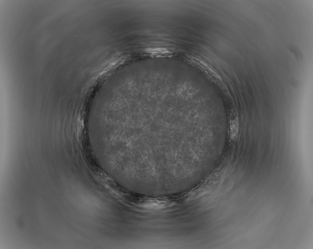 X0000112930618200909211115