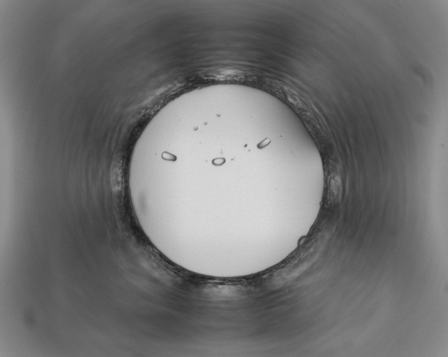 X0000112930620200909211115