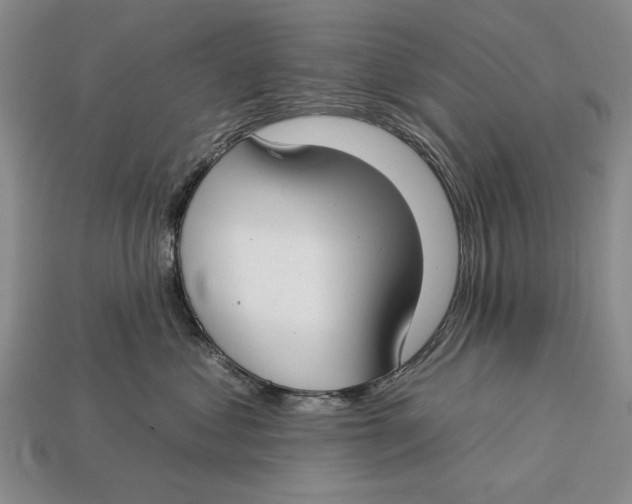X0000112930621200909211115