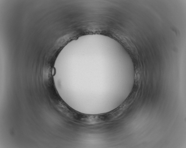 X0000112930623200909211115