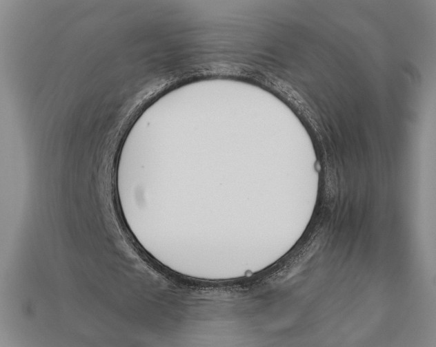 X0000112930625200909211114