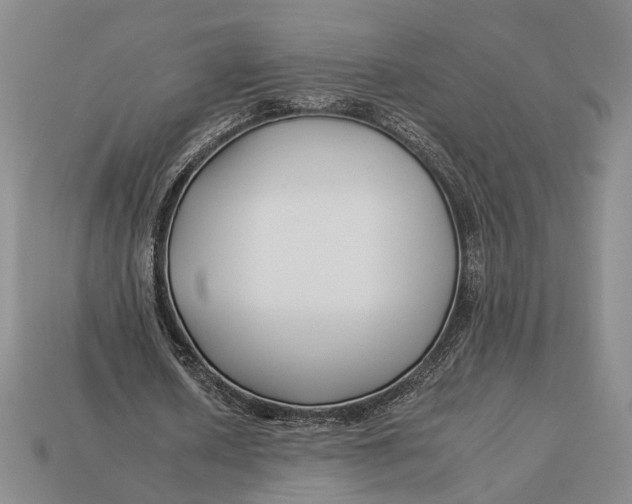 X0000112930626200909211114