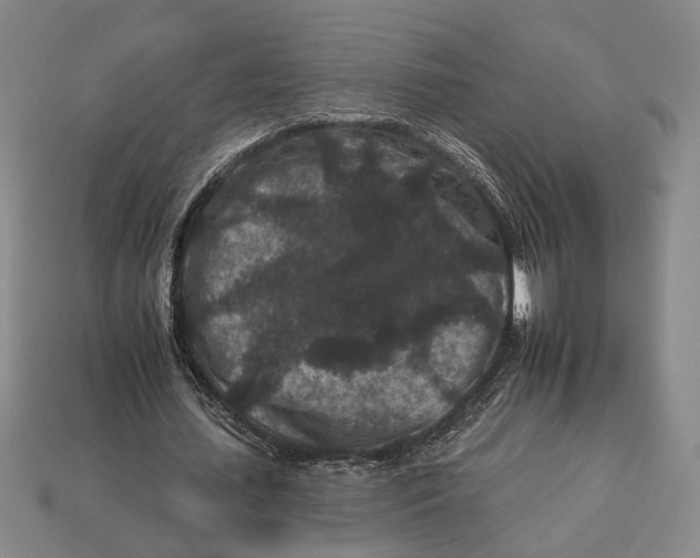 X0000112930627200909211114