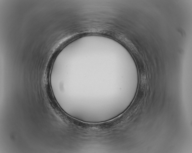 X0000112930628200909211114