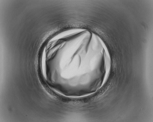X0000112930630200909211114