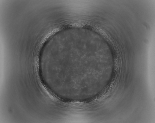 X0000112930634200909211114