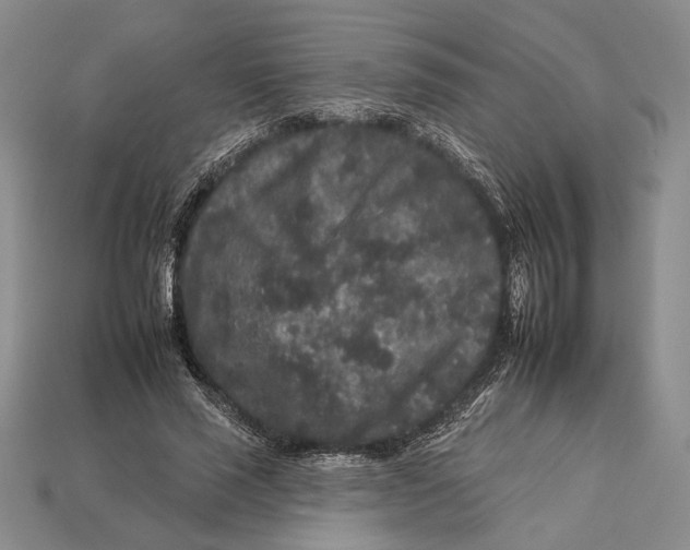 X0000112930637200909211114