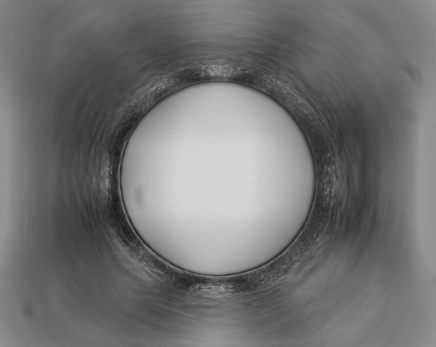 X0000112930639200909211114