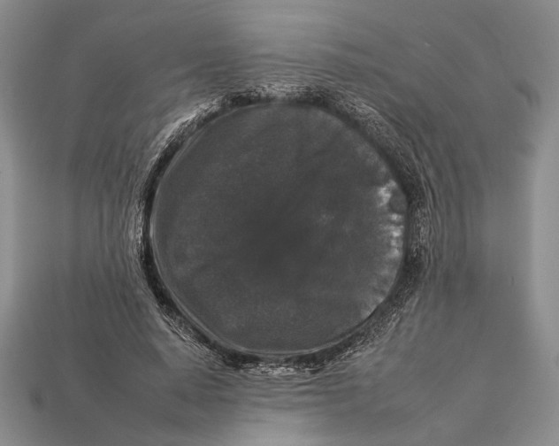 X0000112930640200909211114
