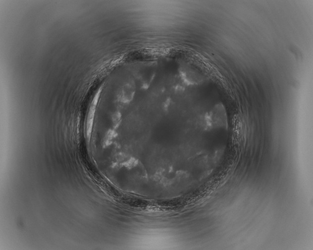 X0000112930641200909211114