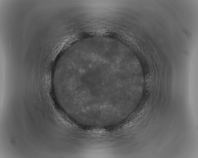 X0000112930642200909211114