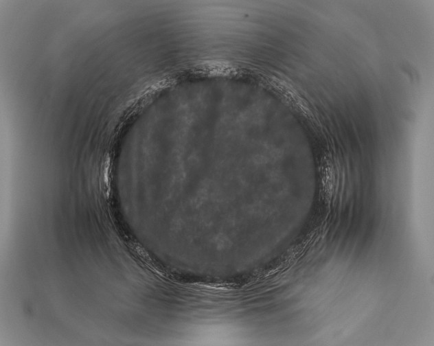 X0000112930643200909211114